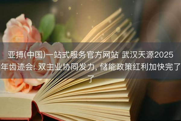 亚搏(中国)一站式服务官方网站 武汉天源2025年齿迹会: 双主业协同发力, 储能政策红利加快完了