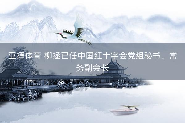 亚搏体育 柳拯已任中国红十字会党组秘书、常务副会长