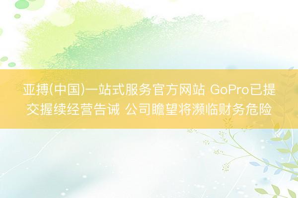 亚搏(中国)一站式服务官方网站 GoPro已提交握续经营告诫 公司瞻望将濒临财务危险