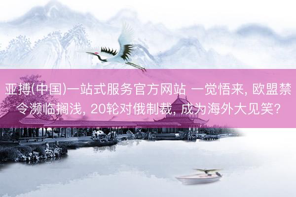 亚搏(中国)一站式服务官方网站 一觉悟来, 欧盟禁令濒临搁浅