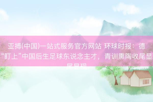 亚搏(中国)一站式服务官方网站 环球时报：德甲“盯上”中国后生足球东说念主才，青训熏陶收尾显现