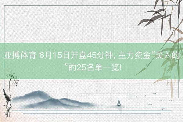 亚搏体育 6月15日开盘45分钟， 主力资金“买入的 ”的25名单一览!