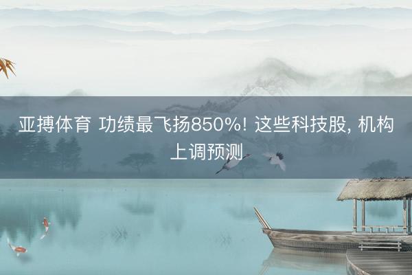 亚搏体育 功绩最飞扬850%! 这些科技股， 机构上调预测
