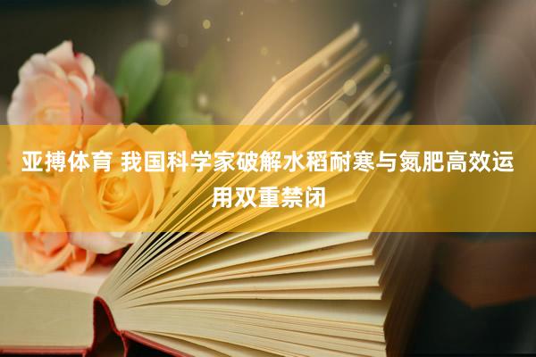 亚搏体育 我国科学家破解水稻耐寒与氮肥高效运用双重禁闭