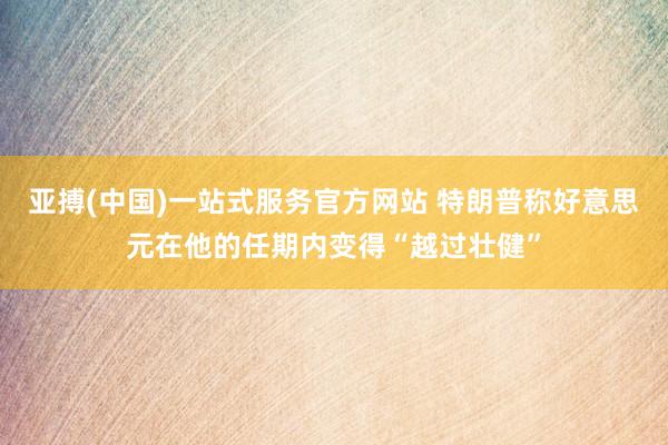 亚搏(中国)一站式服务官方网站 特朗普称好意思元在他的任期内变得“越过壮健”