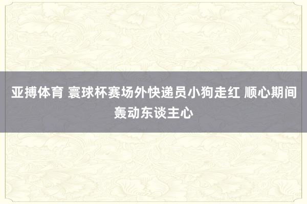 亚搏体育 寰球杯赛场外快递员小狗走红 顺心期间轰动东谈主心